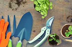 Les Ateliers de jardinage pour adultes Vergers de Balcon - Inscription